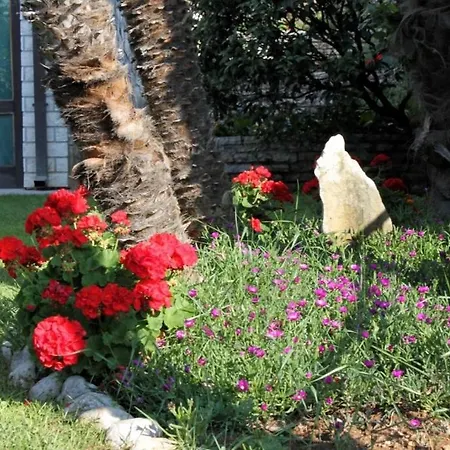 With A Parking Space - 7831